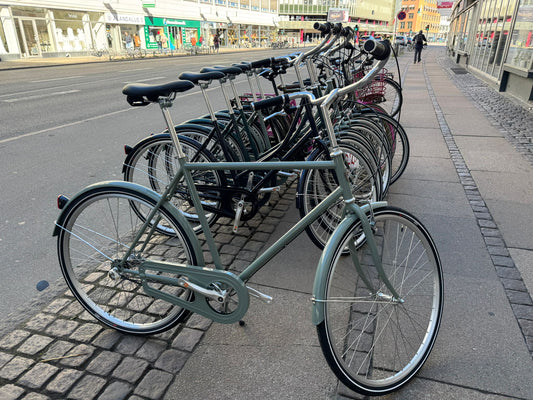 Neptun Retro Herrecykel – Matt Grøn / 3 gear Shimano